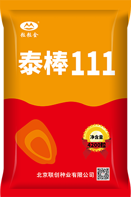 泰棒111