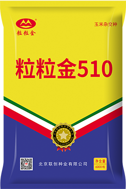 粒粒金510